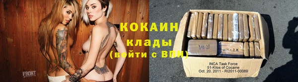 стаф Каменск-Шахтинский