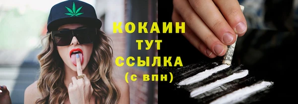 дурь Каменка