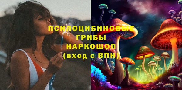 дурь Каменка