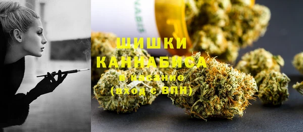дурь Каменка