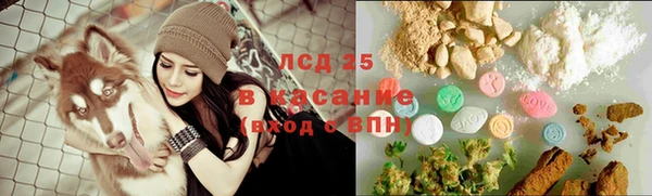 дурь Каменка