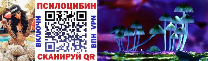 Купить где  Новоржев  Псилоцибиновые грибы прущие грибы 